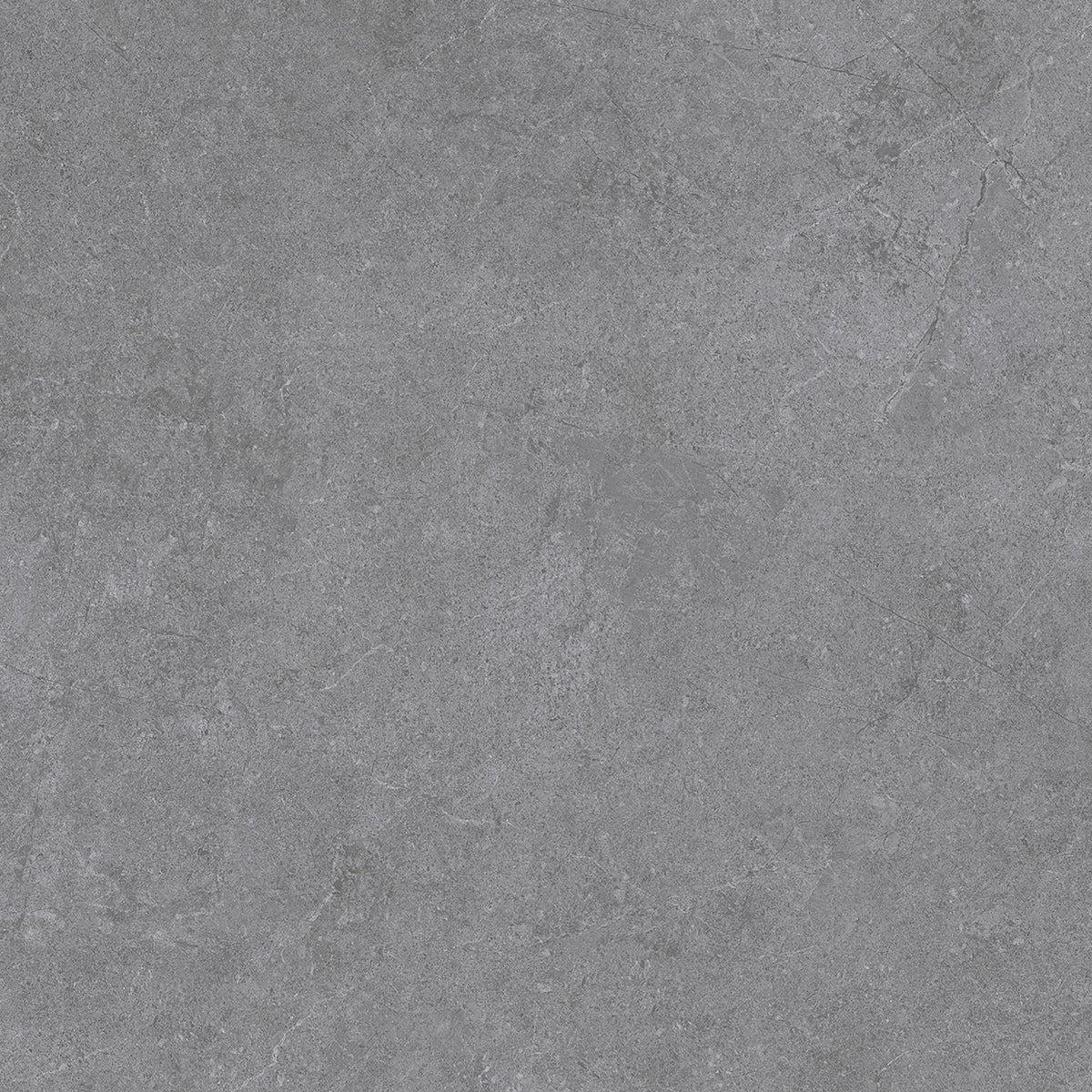 Arden Charcoal Porcelain Tile 600 × 600 mm with a subtle natural stone-inspired surface and matt finish.
