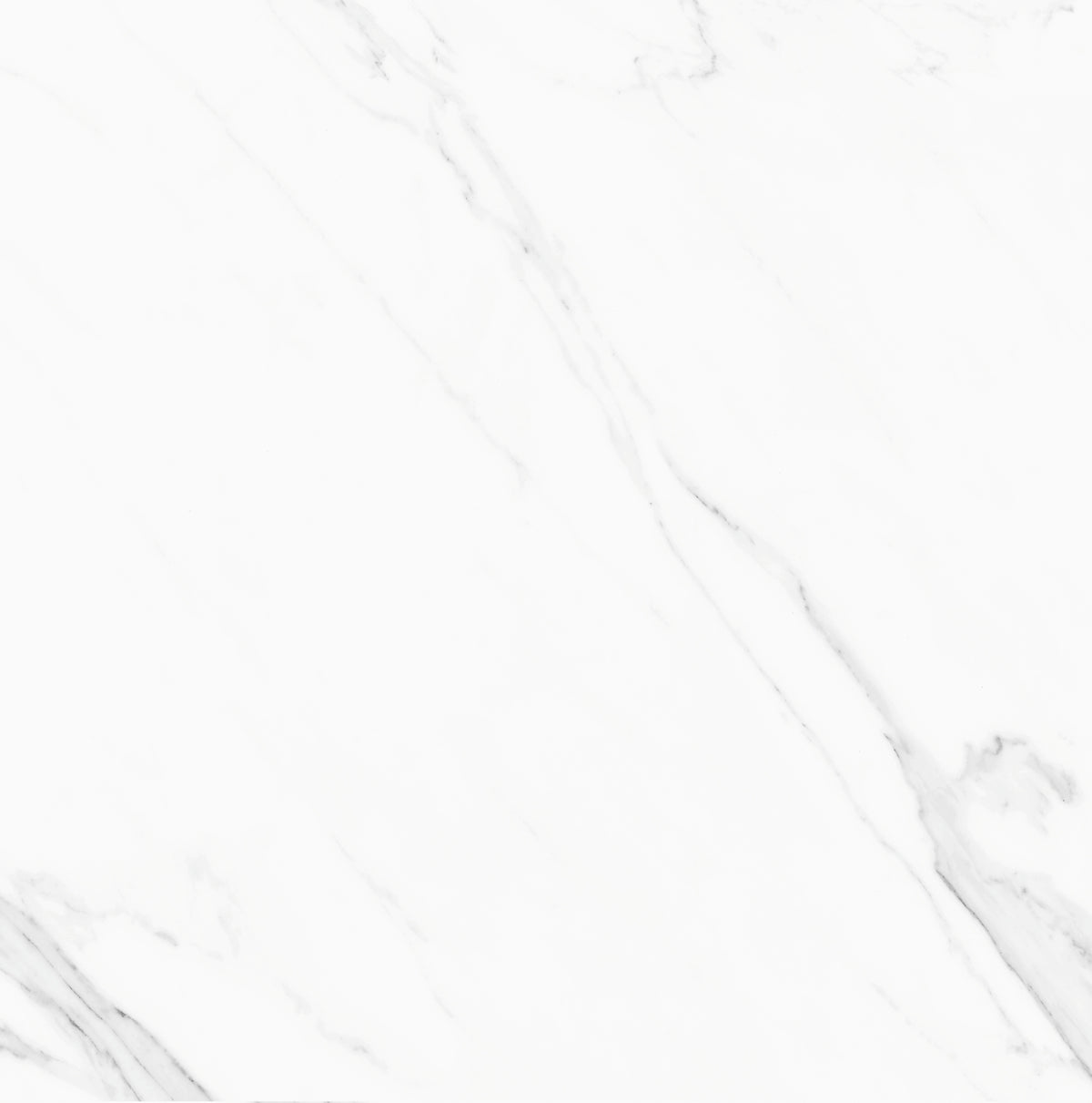 Seravelle White polished 600x600 tile with marble-inspired surface