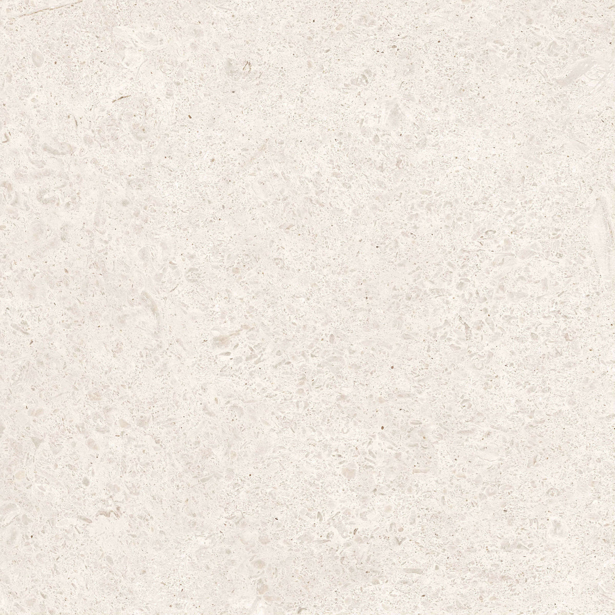 Shellstone Ivory 600x600