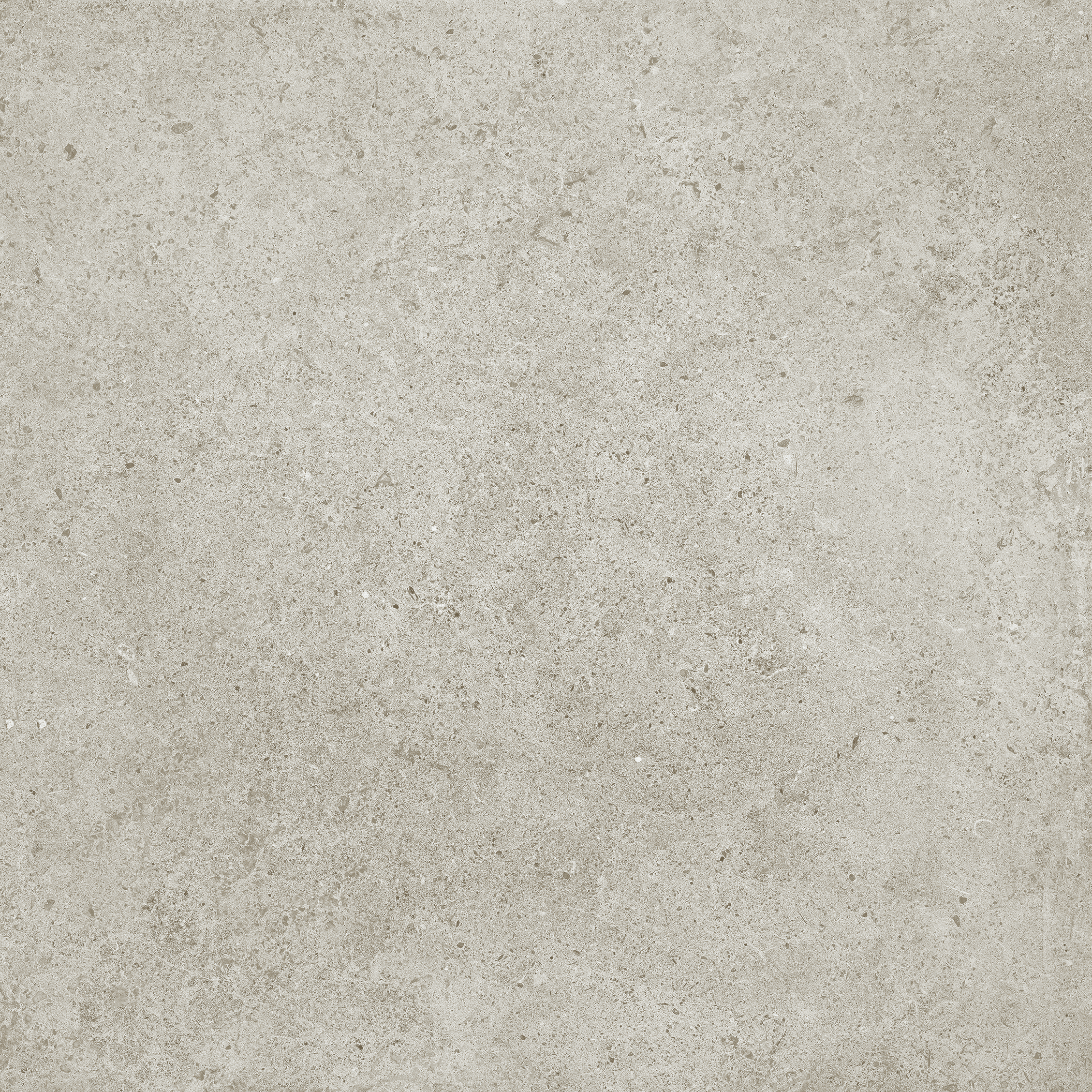 Evoke Stone Matt Porcelain Tile 300 x 600 mm featuring a warm stone-grey beige surface with fine scattered markings and tonal variations.