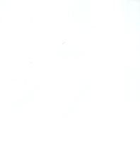 Laurieton Wavy White Gloss 200x200