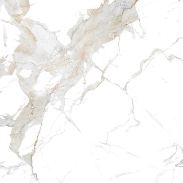 Nerissa Imperial Gold gloss porcelain tile in 600 x 600 mm, featuring a white base with delicate grey veining and warm gold accents.