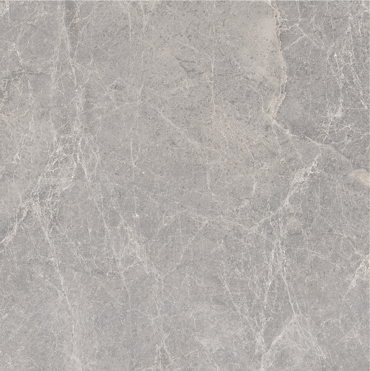 Pisa Grey Matt Tile 600 x 600 mm 1V60PGM