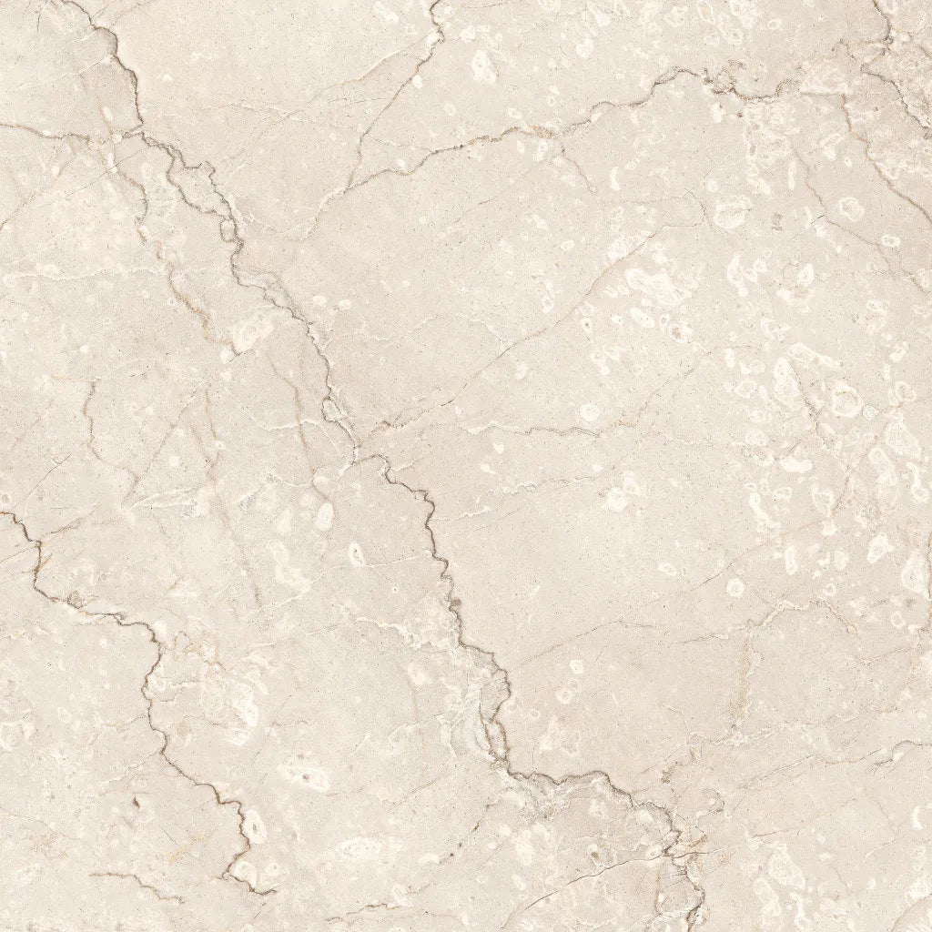 Royal Bottochino 3D 600x600