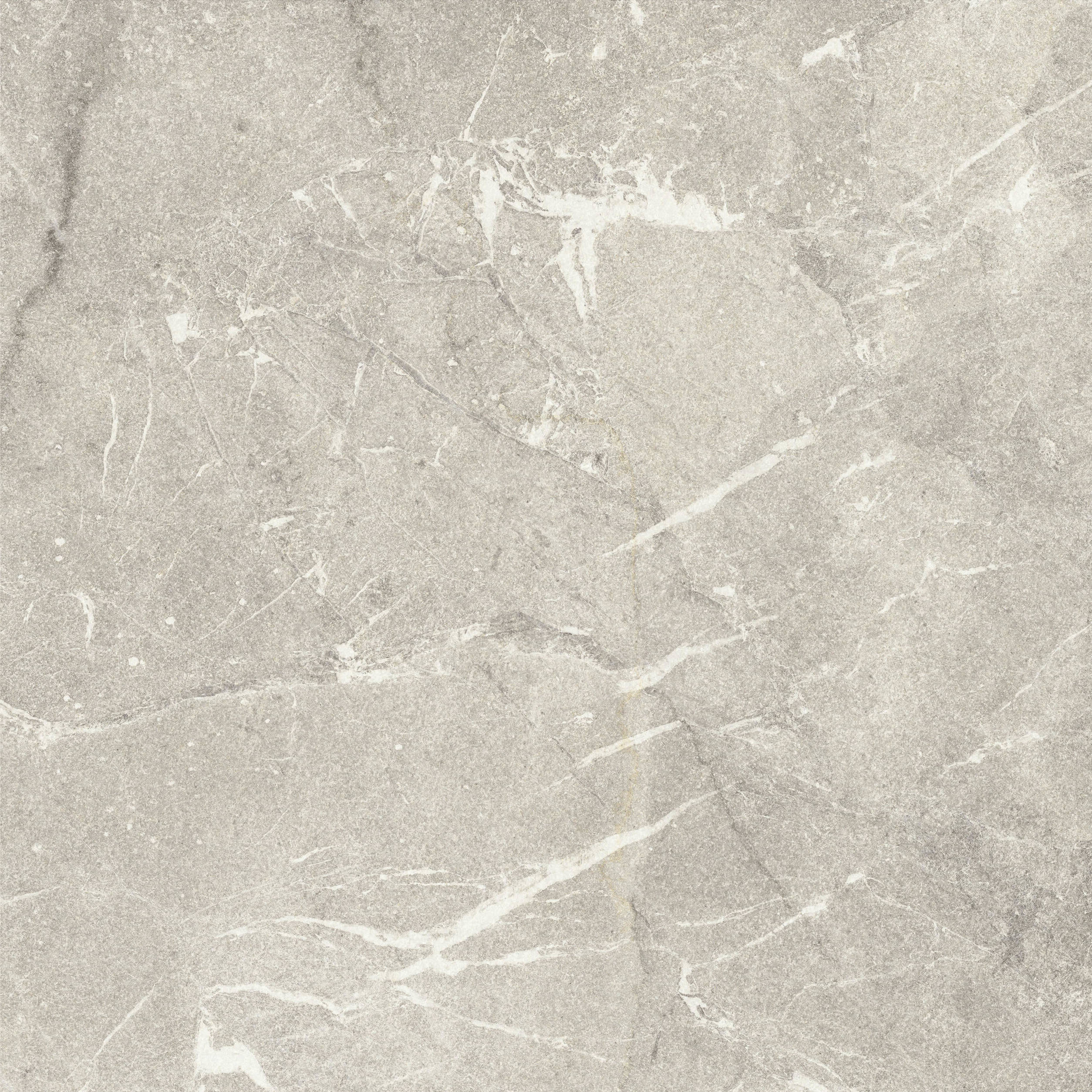 Riviera Silver 600x600