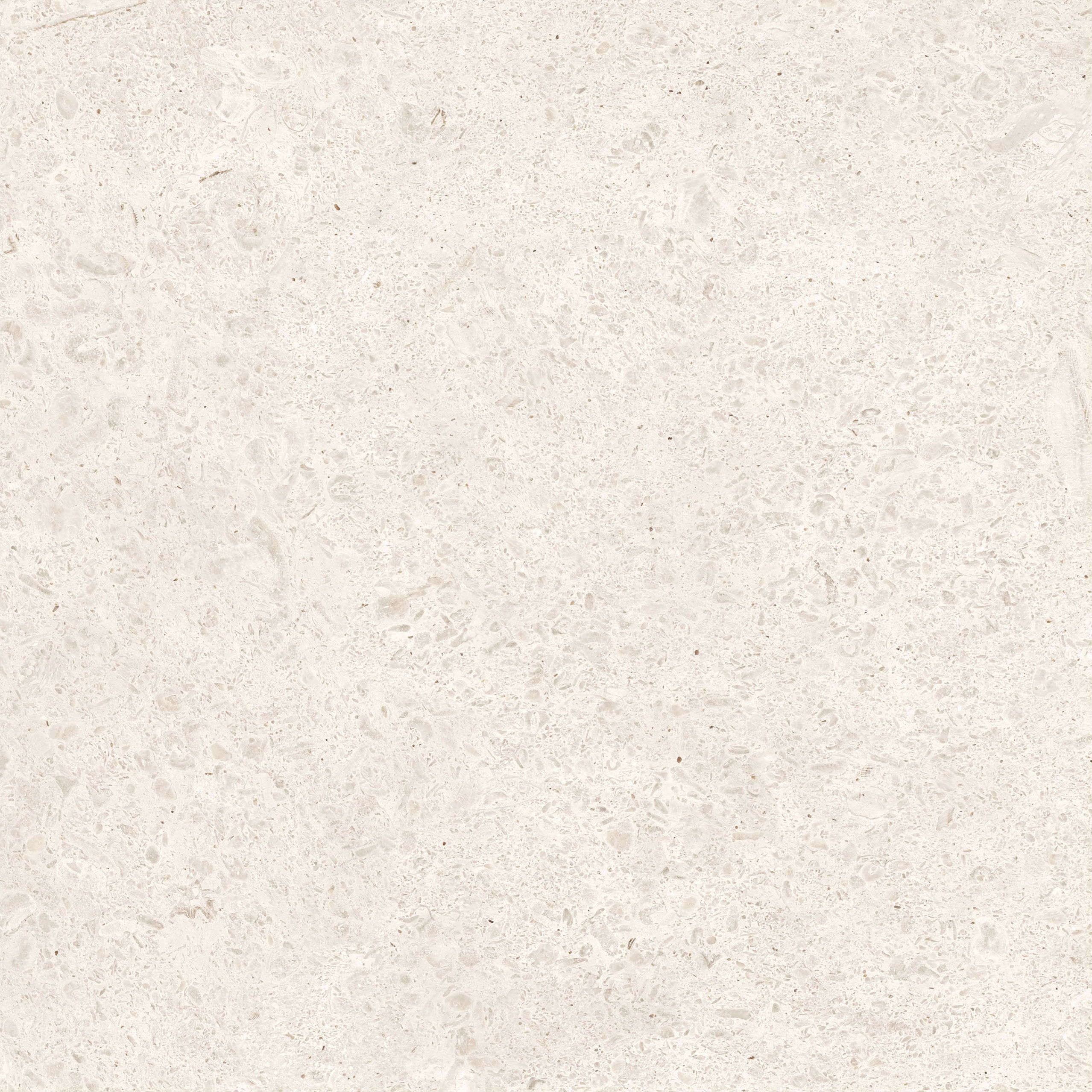 Shellstone Ivory 600x600