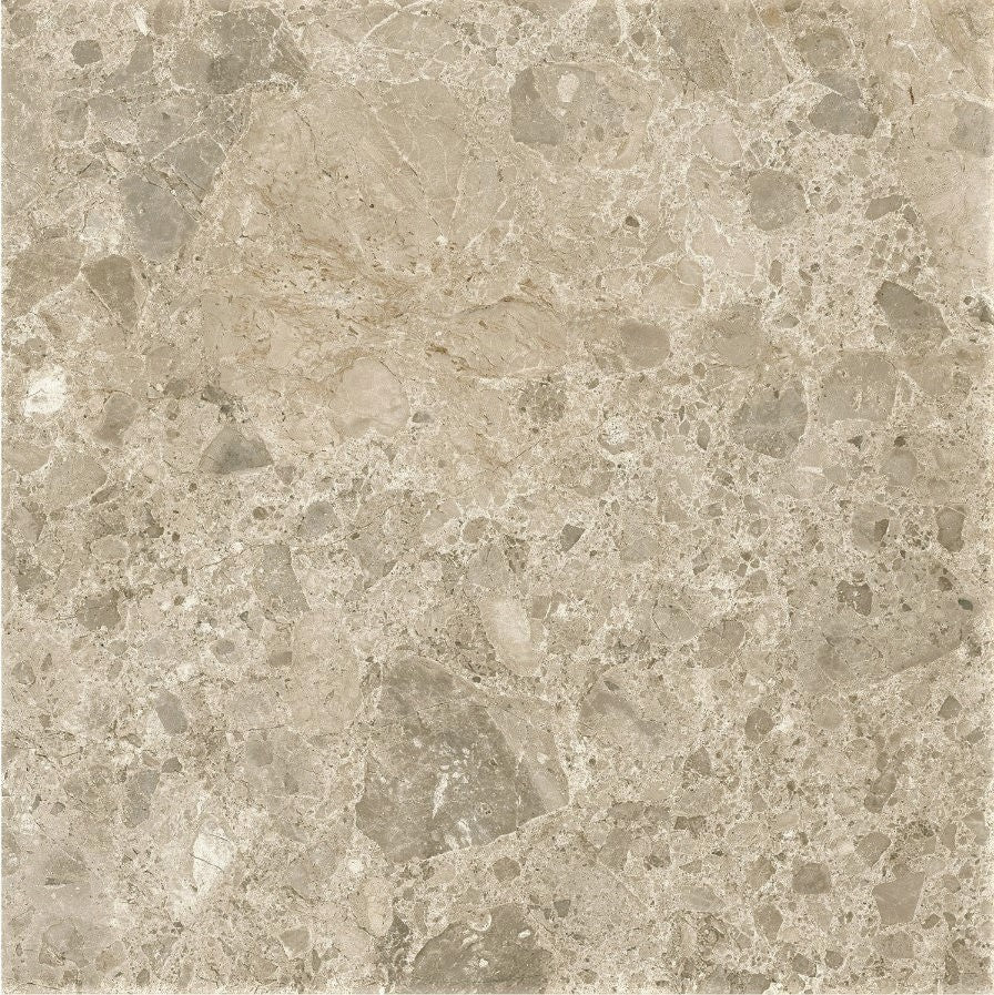 Create a warm and sophisticated look with the Cavero Dark Beige Rectified Stone Tile. Featuring a rich dark beige base with natural tonal variation and a detailed stone-inspired pattern, this tile brings depth and character to contemporary and timeless interiors.